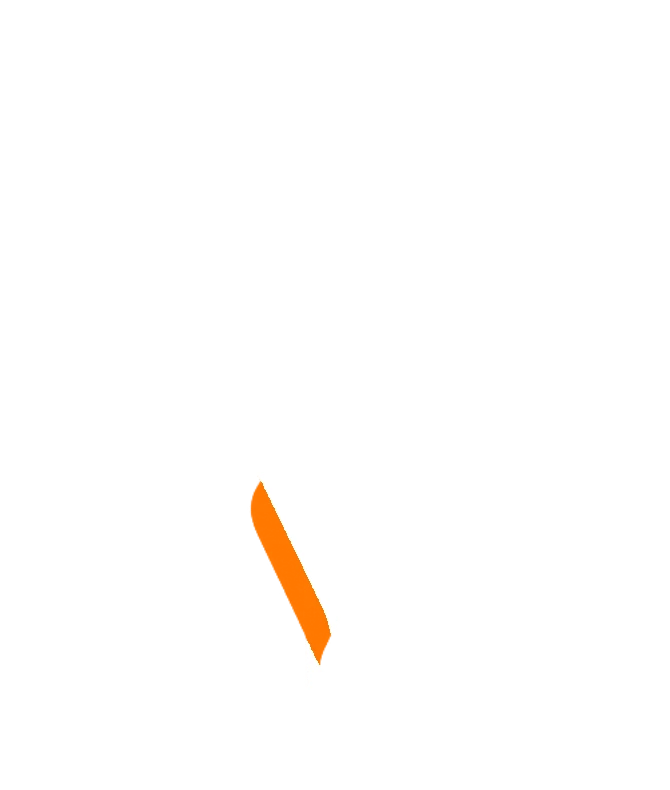 Vinicius Santanna